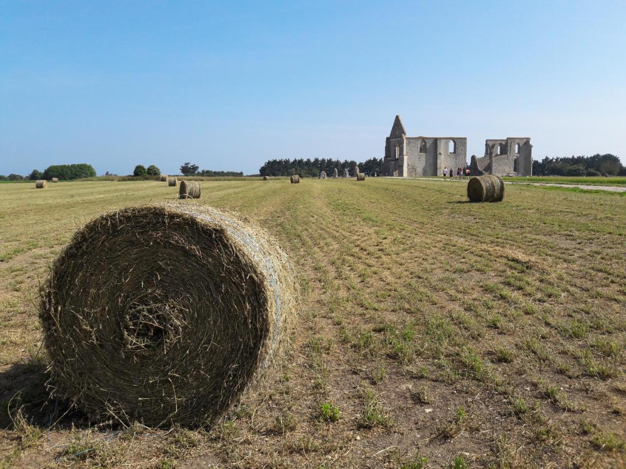 Chambre "Chevrefeuille" La Couarde-sur-Mer Eksteriør bilde